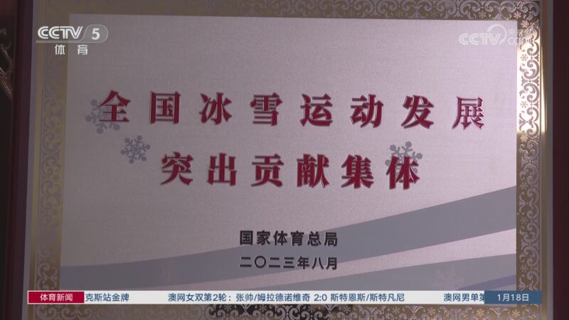 阿仙奴如何